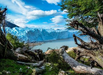 CALAFATE: Tierra de Glaciares – 01 Sep 2025