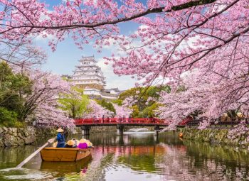 Japón & Floración de Cerezos – 27 Mar 2026